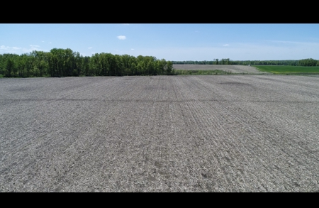 Pristine Schuyler County MO Rowcrop and Hunting Haven FOR SALE! - image 14
