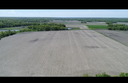 Pristine Schuyler County MO Rowcrop and Hunting Haven FOR SALE! - image 6