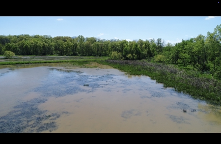 Pristine Schuyler County MO Rowcrop and Hunting Haven FOR SALE! - image 13