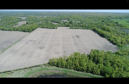 Pristine Schuyler County MO Rowcrop and Hunting Haven FOR SALE! - image 4