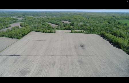 Pristine Schuyler County MO Rowcrop and Hunting Haven FOR SALE! - image 16