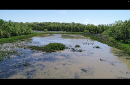 Pristine Schuyler County MO Rowcrop and Hunting Haven FOR SALE! - image 15