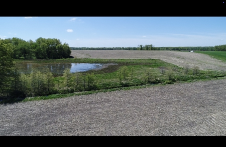 Pristine Schuyler County MO Rowcrop and Hunting Haven FOR SALE! - image 8