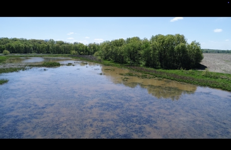 Pristine Schuyler County MO Rowcrop and Hunting Haven FOR SALE! - image 5