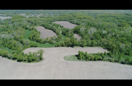 Pristine Schuyler County MO Rowcrop and Hunting Haven FOR SALE! - image 10