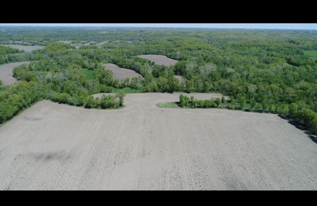Pristine Schuyler County MO Rowcrop and Hunting Haven FOR SALE! - image 11