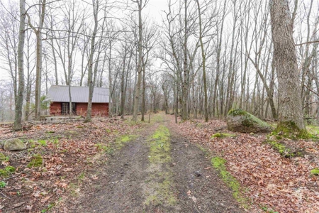 Country Home For Sale in Amherst WI - image 31