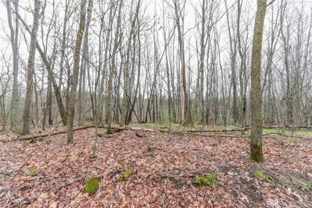 Country Home For Sale in Amherst WI - image 35