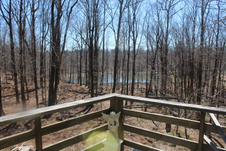 Fixer Upper Home With Acreage For Sale in Roscoe, New York - image 10