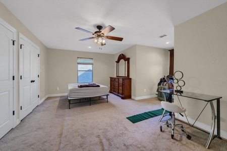 Large Country Home for Sale in Grayson County, Texas - image 23
