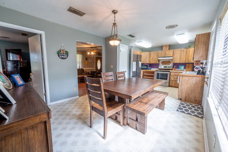 3-Bedroom 2-Bath Home Country Home in Historic White Springs, FL - image 7