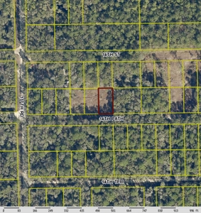Great Lot In Suwannee County Close To River - image 1
