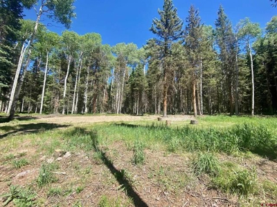 Private Lot in the Arrowhead Subdivision - image 4