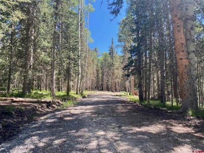 Private Lot in the Arrowhead Subdivision - image 7