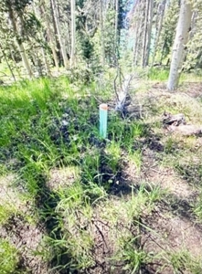 Private Lot in the Arrowhead Subdivision - image 12