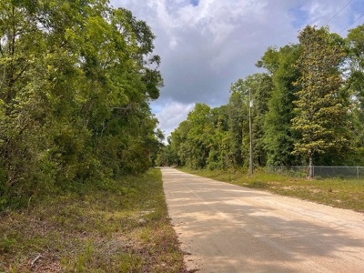 3 Acres of Vacant Land For Sale in Old Town, FL - image 2