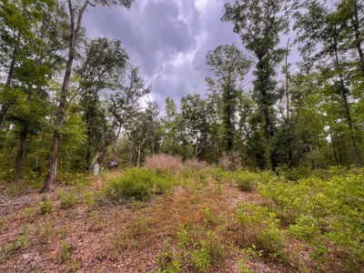 3 Acres of Vacant Land For Sale in Old Town, FL - image 1