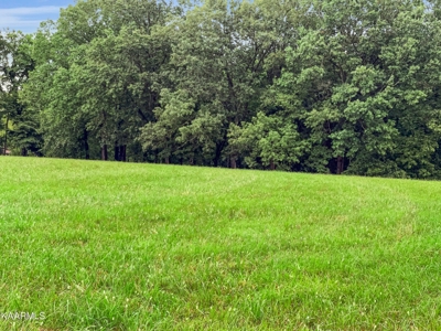 Lake Lot for Sale in White Pine, TN - image 2