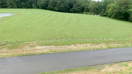 Lake Lot for Sale in White Pine, TN - image 6