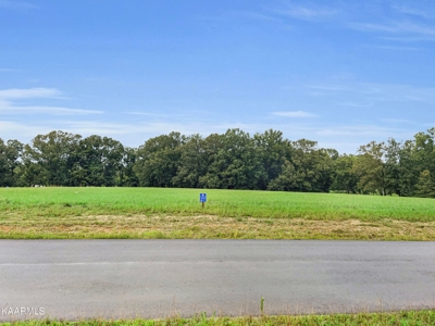 Lake Lot for Sale in White Pine, TN - image 3