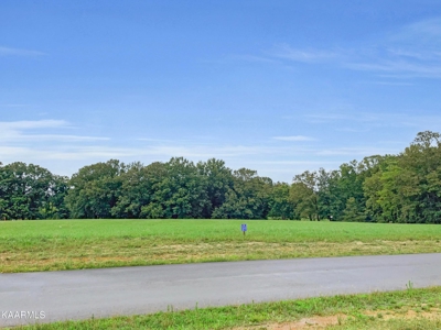 Lake Lot for Sale in White Pine, TN - image 4