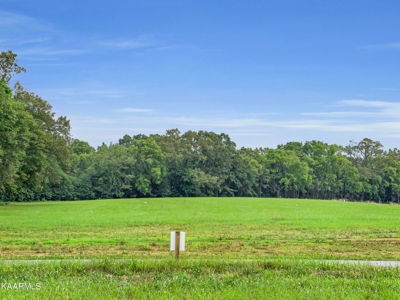 Lake Lot for Sale in White Pine, TN - image 5