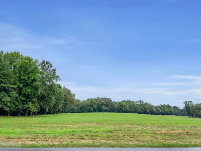 Lake Lot for Sale in White Pine, TN - image 1