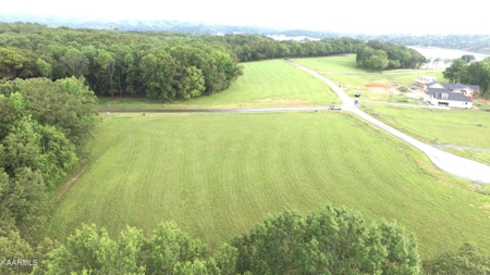 Lake Lot for Sale in White Pine, TN - image 8