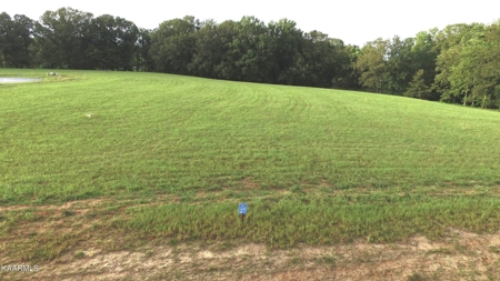 Lake Lot for Sale in White Pine, TN - image 12