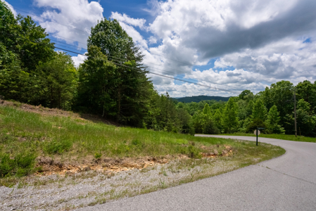 Lake Life Awaits on This Prime Lot in Lone Mountain Shores –TN - image 40