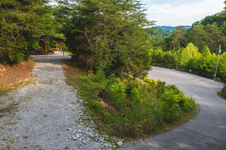 Lake Life Awaits on This Prime Lot in Lone Mountain Shores –TN - image 13