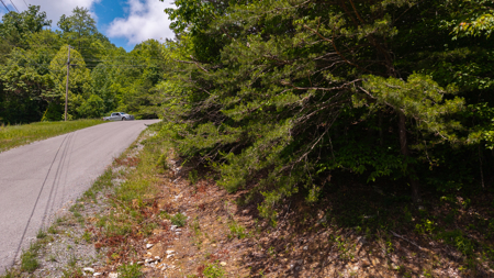 Lake Life Awaits on This Prime Lot in Lone Mountain Shores –TN - image 35