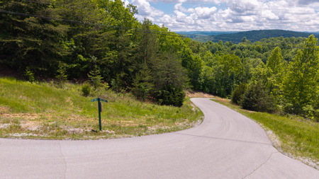 Lake Life Awaits on This Prime Lot in Lone Mountain Shores –TN - image 33