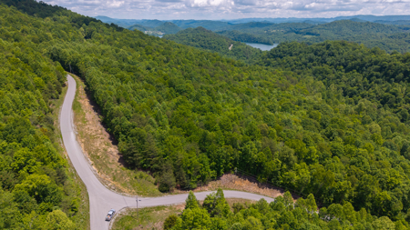 Lake Life Awaits on This Prime Lot in Lone Mountain Shores –TN - image 29