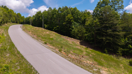 Lake Life Awaits on This Prime Lot in Lone Mountain Shores –TN - image 34