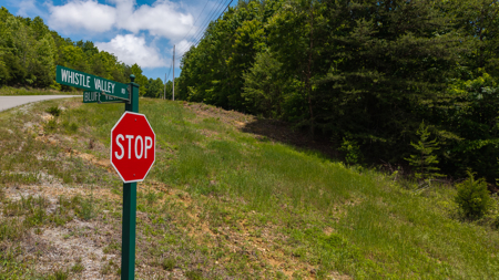 Lake Life Awaits on This Prime Lot in Lone Mountain Shores –TN - image 27