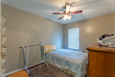 6-Unit Apartment Complex for Sale in Martin, TN - image 15
