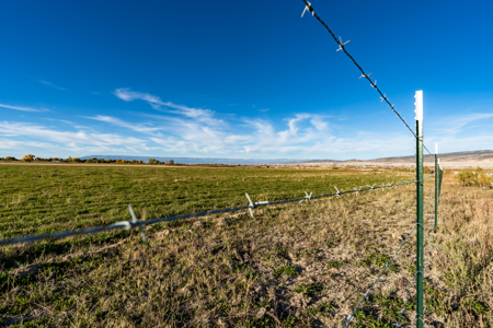 Montrose CO ranch for sale, farmland, vacant land for sale - image 6