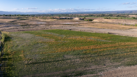 Montrose CO ranch for sale, farmland, vacant land for sale - image 36