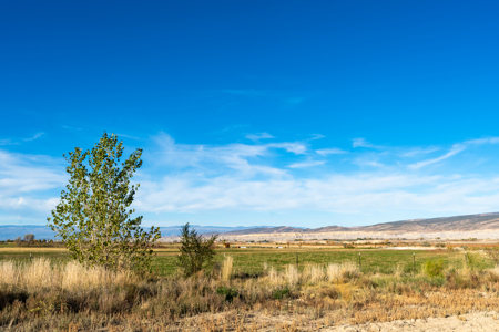 Montrose CO ranch for sale, farmland, vacant land for sale - image 20