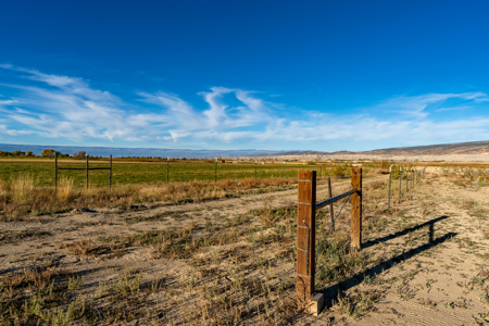 Montrose CO ranch for sale, farmland, vacant land for sale - image 15