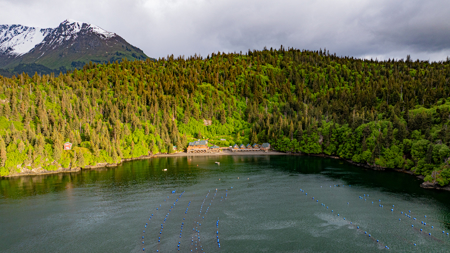 Cove Peaks Lodge - Alaska Oceanfront Lodge for Sale - image 42