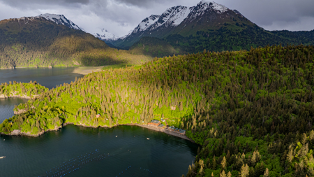Cove Peaks Lodge - Alaska Oceanfront Lodge for Sale - image 44
