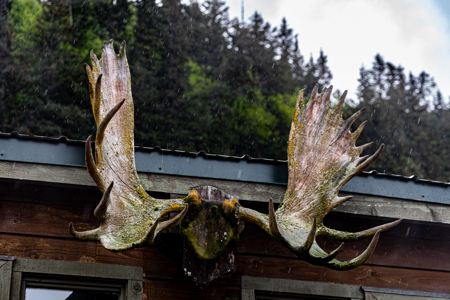 Cove Peaks Lodge - Alaska Oceanfront Lodge for Sale - image 30