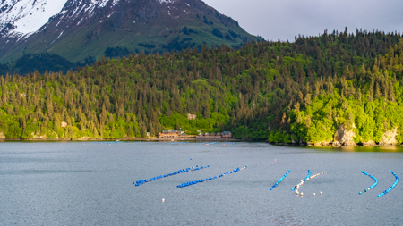 Cove Peaks Lodge - Alaska Oceanfront Lodge for Sale - image 45
