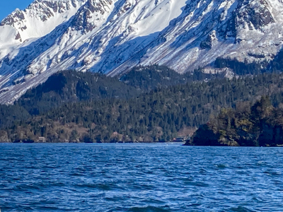 Cove Peaks Lodge – Remote Alaska Lodge for Sale in Halibut Cove - image 14