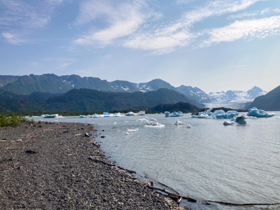 Cove Peaks Lodge – Remote Alaska Lodge for Sale in Halibut Cove - image 8