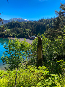 Cove Peaks Lodge – Remote Alaska Lodge for Sale in Halibut Cove - image 6