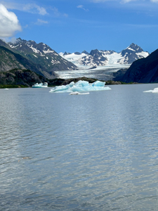 Cove Peaks Lodge – Remote Alaska Lodge for Sale in Halibut Cove - image 40