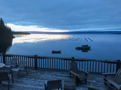 Cove Peaks Lodge – Remote Alaska Lodge for Sale in Halibut Cove - image 25